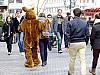 Bild 184.jpg